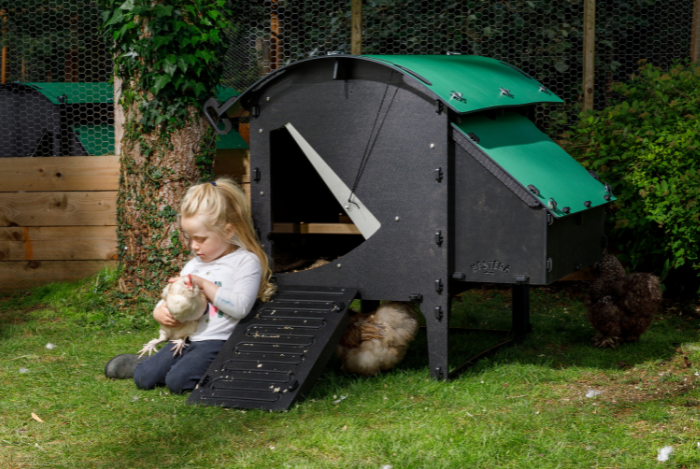 How to Spoil Your Chickens This Holiday Season