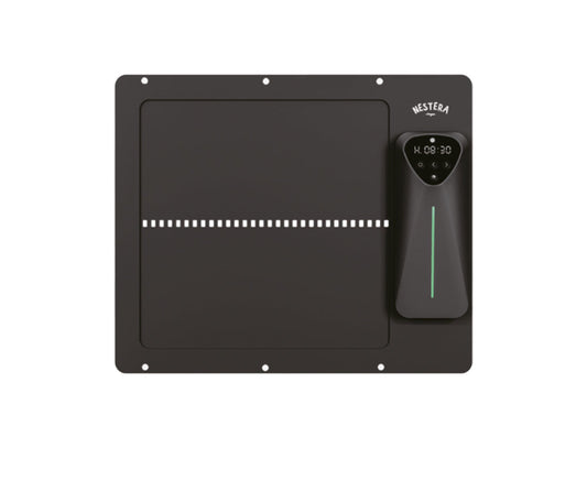 Smart Auto Door