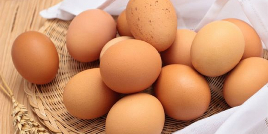 5 ways to preserve eggs