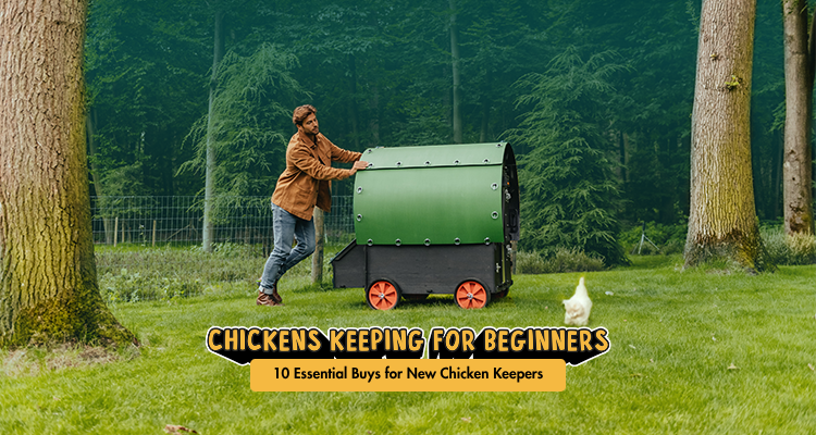 10 Essential Buys for New Chicken Keepers