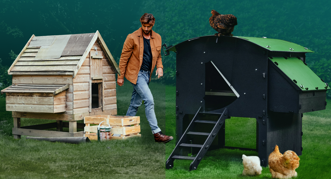 28 Diy Chicken Coop Plans Ideas: Ultimate Guide for Easy Builds