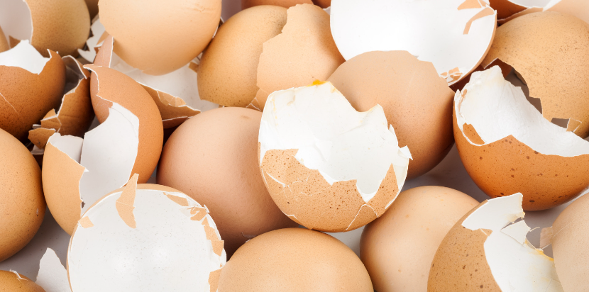 Eggshells for homemade grit