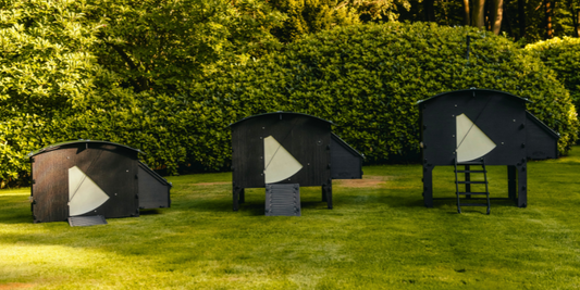 House, Lodge or Penthouse, which one should you choose?