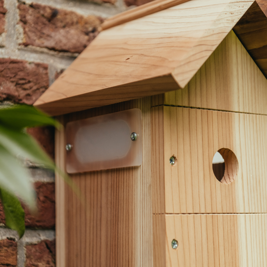 Where is The Best Place to Put My Bird House?