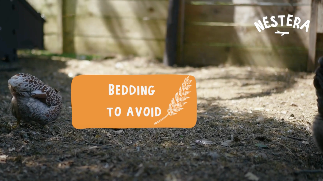 Load video: Explaining the best bedding for chicken coops