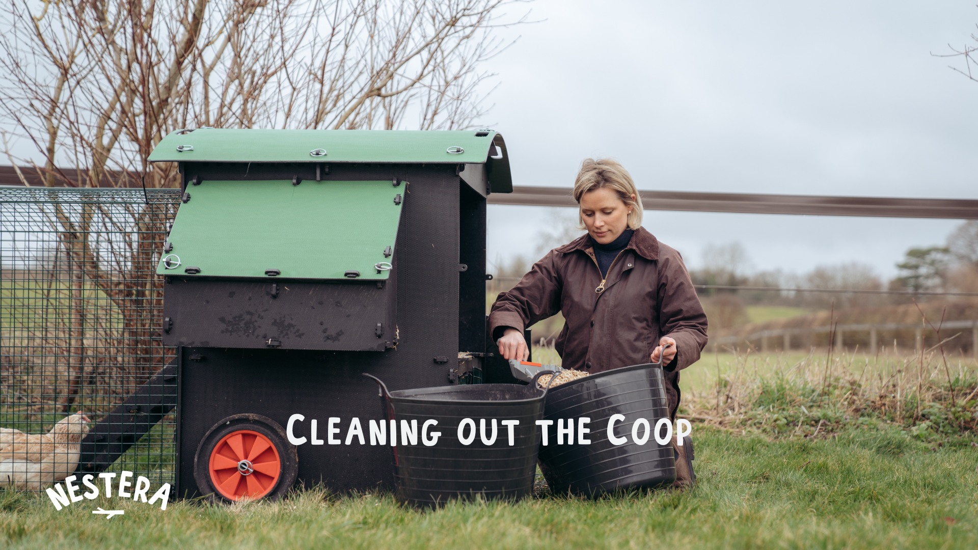 Load video: How to clean the Large Raised Coop