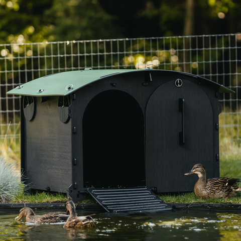 Duck House | Recycled Plastic and easy to clean Duck house