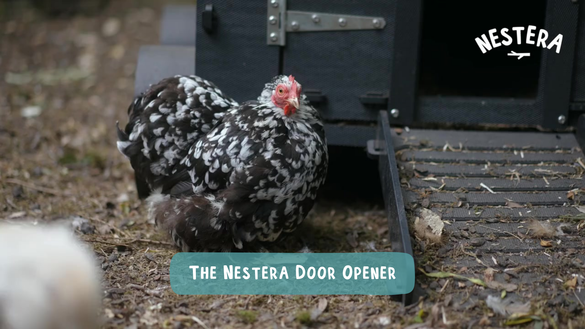 Load video: How to fit the Nestera Automatic Door Opener
