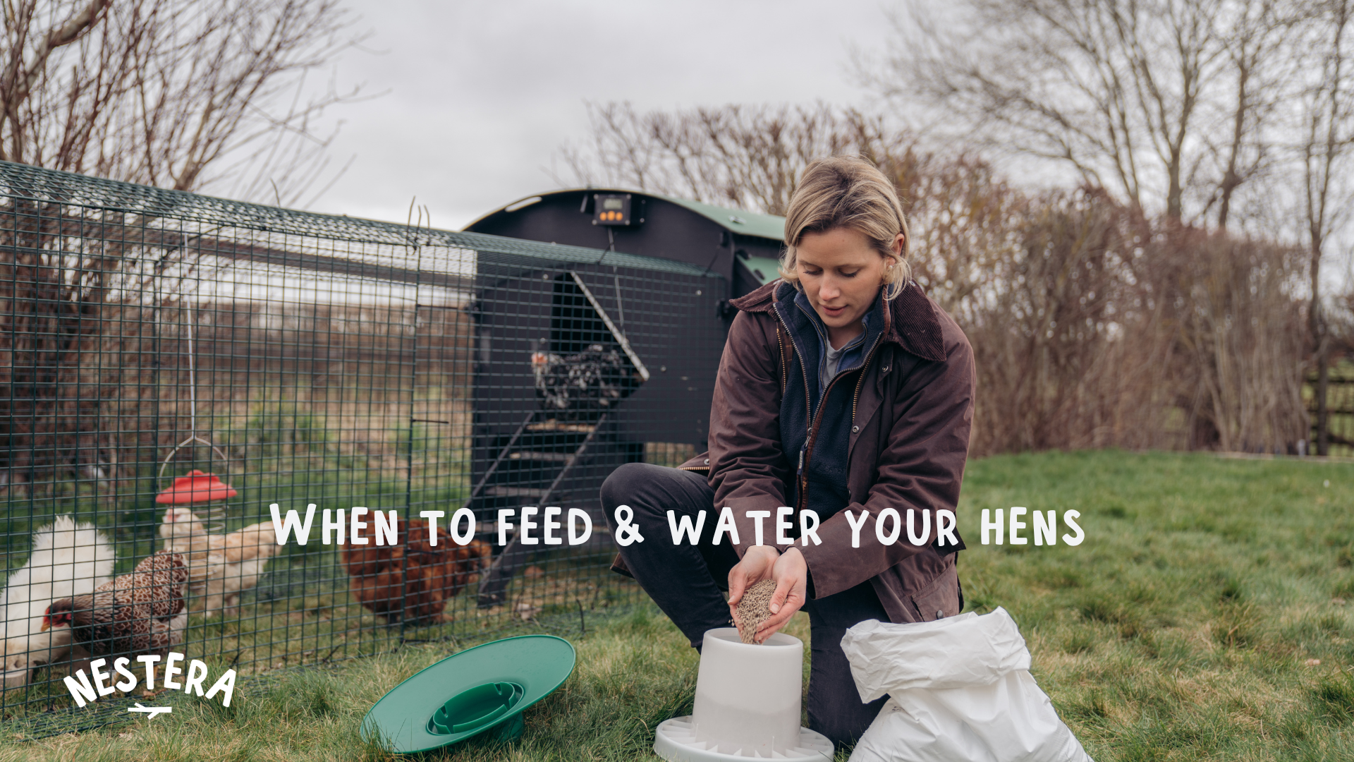 Load video: What your Need to Feed &amp; Water your Hens