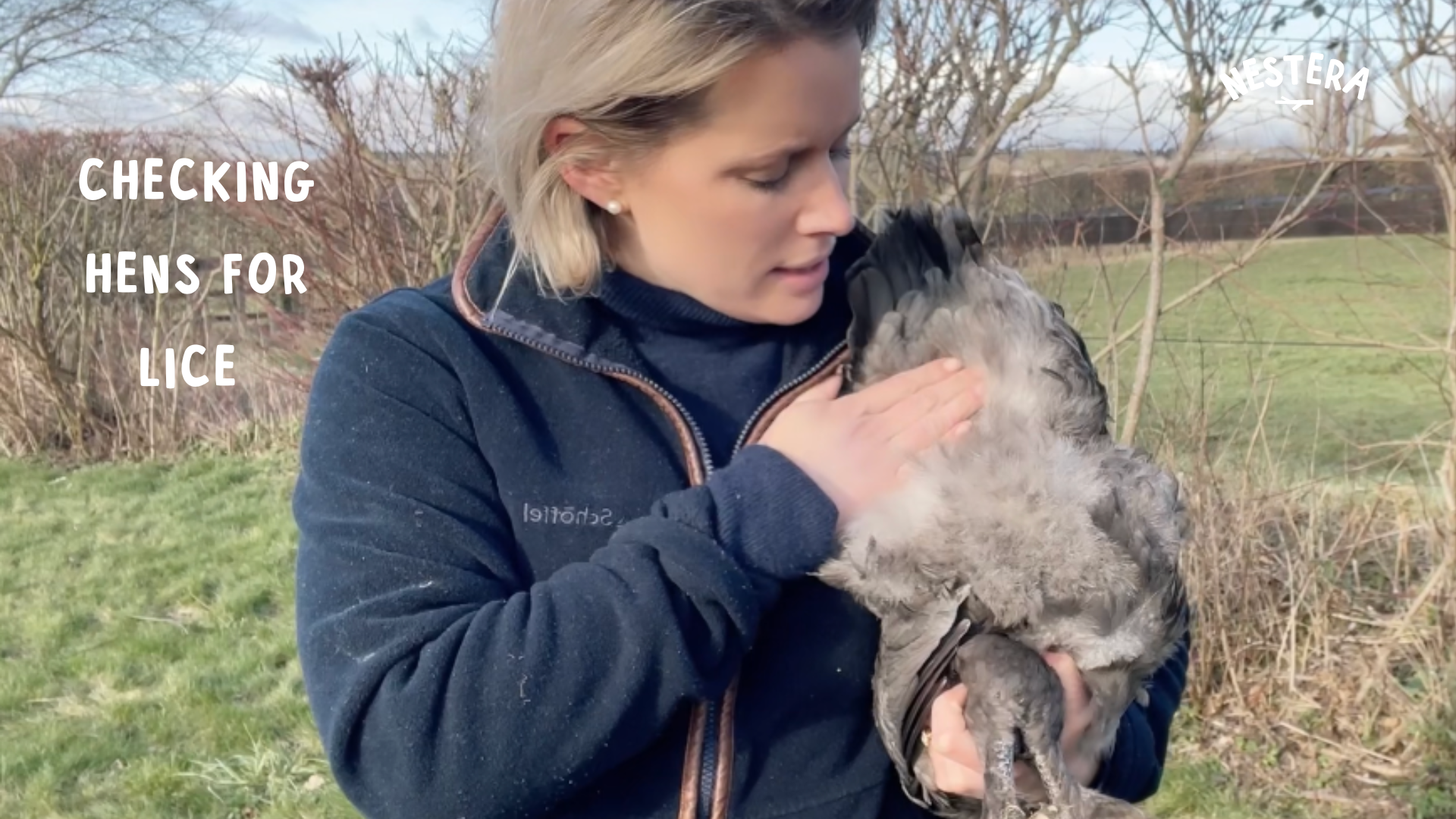 Load video: How to check your hens for lice
