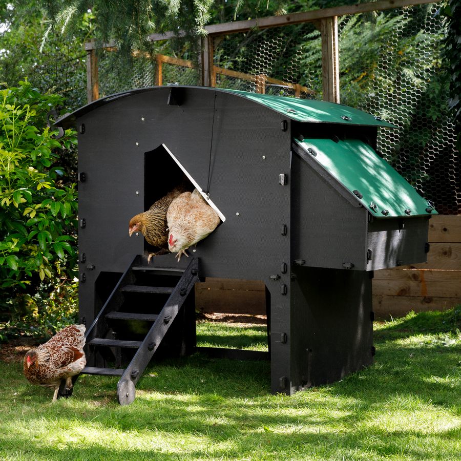 Chicken Coop