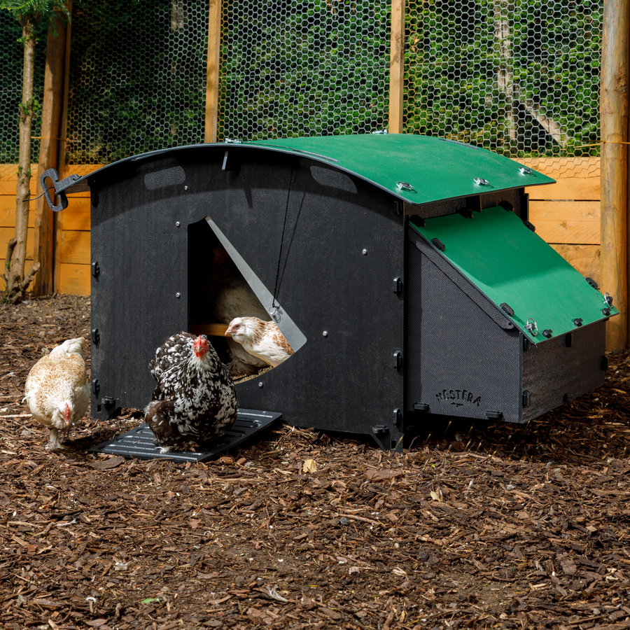 Chicken Coop