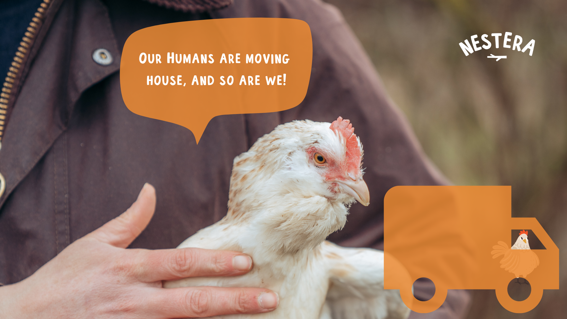 Load video: Tips on how to move houses with chickens