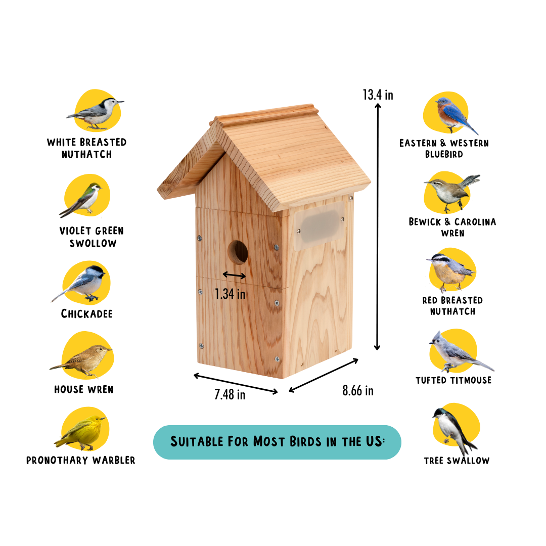 Petsafe hot sale birdhouse camera