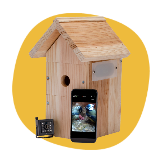 WiFi Bird House Camera Systems