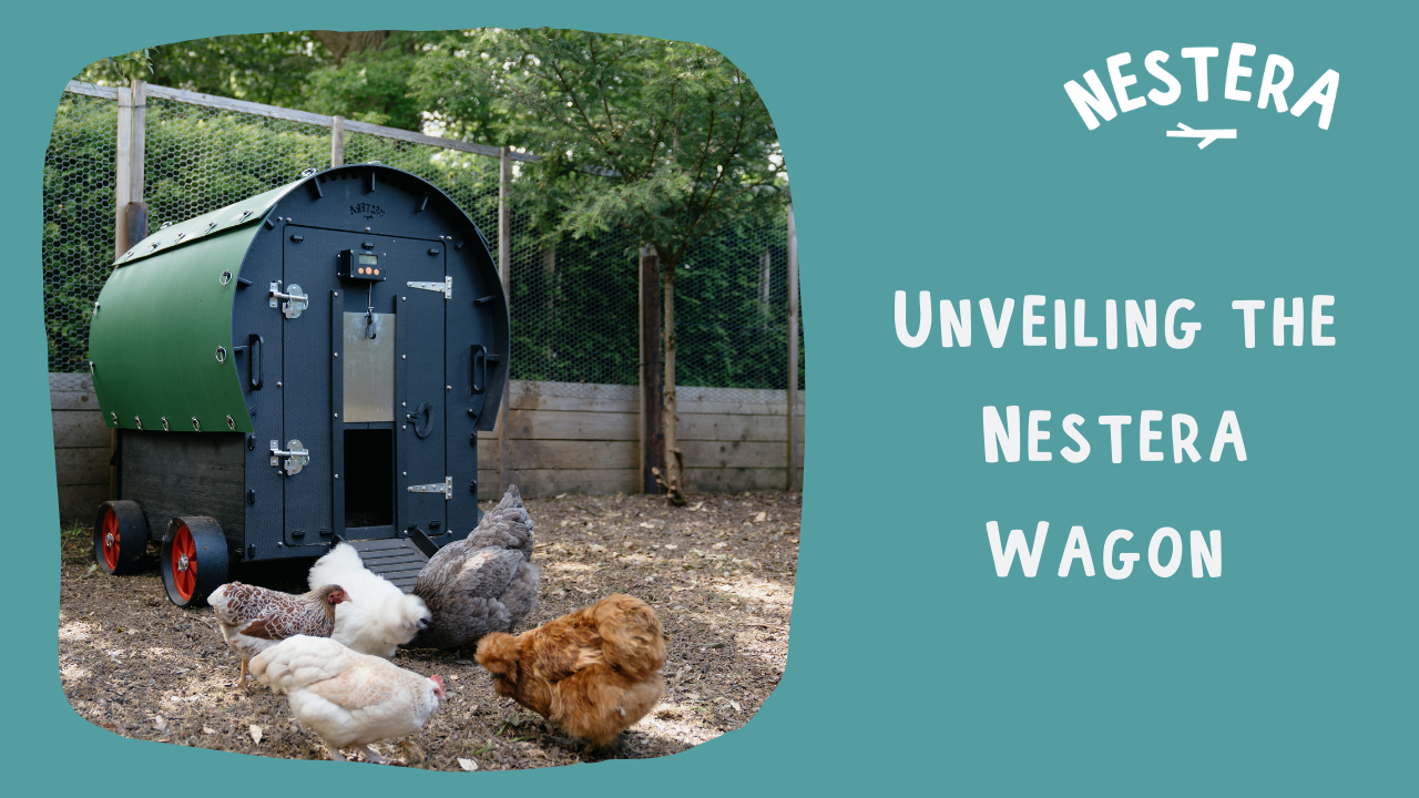 Load video: How to build the Nestera Wagon and what are its main features