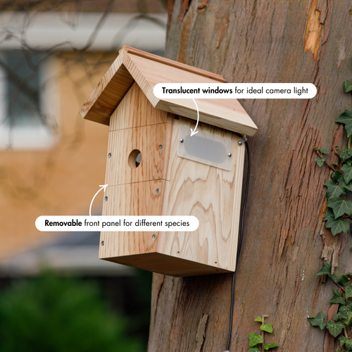 Birdhouse Video Ramp WiFi Bird House Camera System