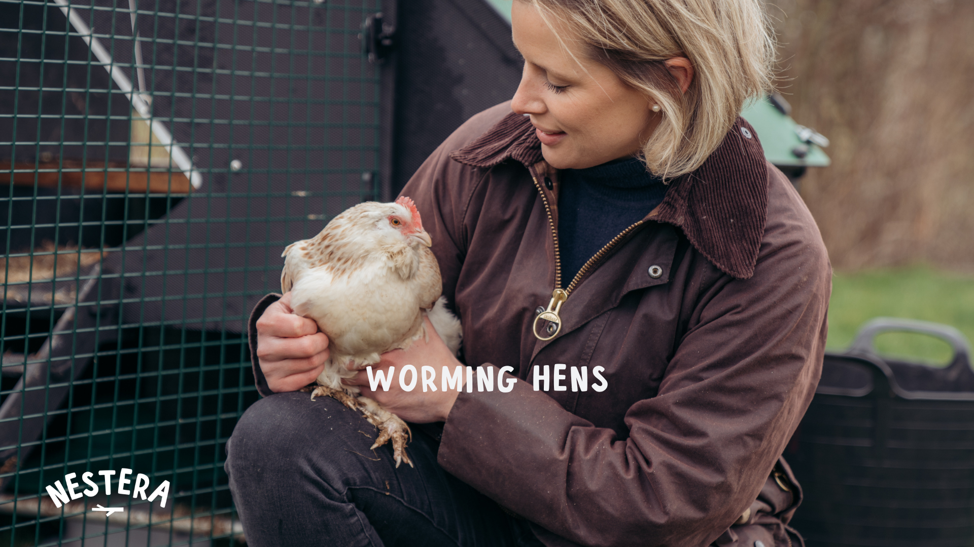Load video: The process of worming hens