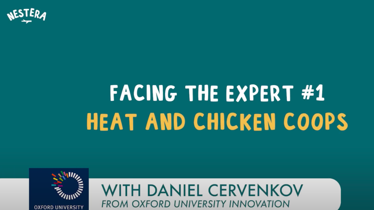 Load video: Heat &amp; Chicken Coops