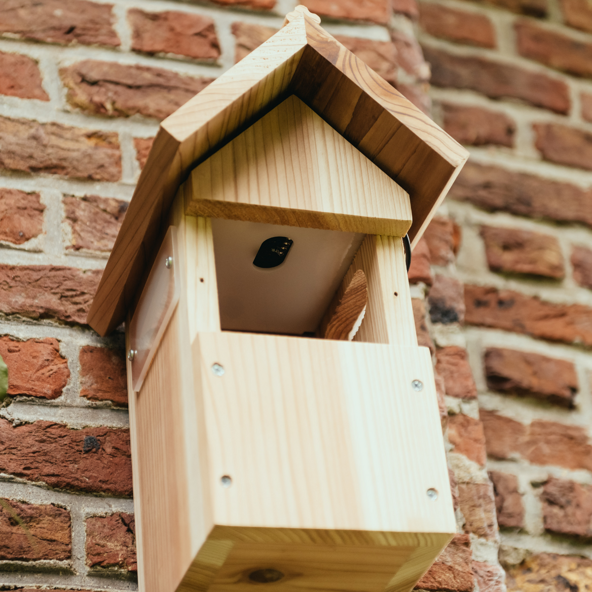 Birdhouse Video Ramp WiFi Bird House Camera System